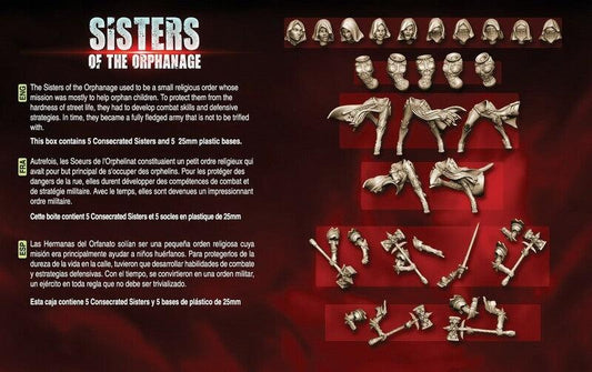 Consecrated Sisters - Troops - LAminifigs , lego style jekca building set