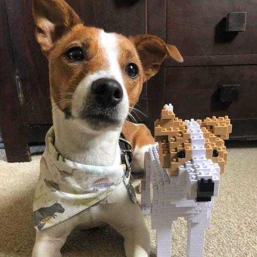 jack russel lego style jekca dog sculpture laminifigs