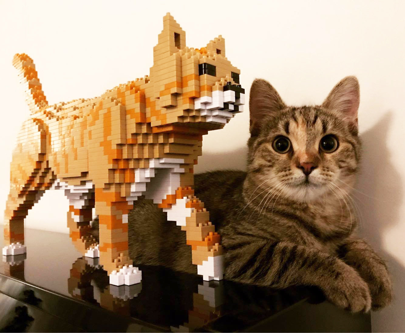 orange tabby cat lego style jekca cat sculpture laminifigs