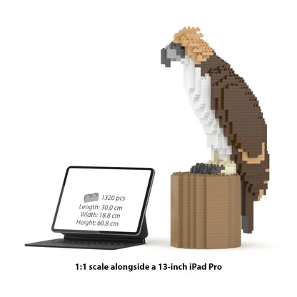 A 1:1 scale Jekca brick model of a Philippine eagle standing on a log, shown next to a 13-inch iPad Pro displaying product specs. The text at the bottom reads '1:1 scale alongside a 13-inch iPad Pro'.
