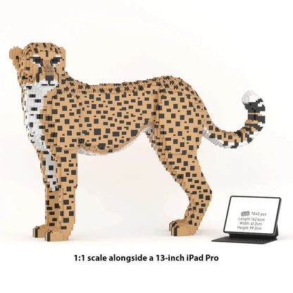 Cheetah model next to a 13-inch iPad Pro on a white background