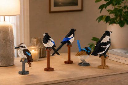 various birds, magpie, kookaburra, Fairywren standing on the table in a cozy room