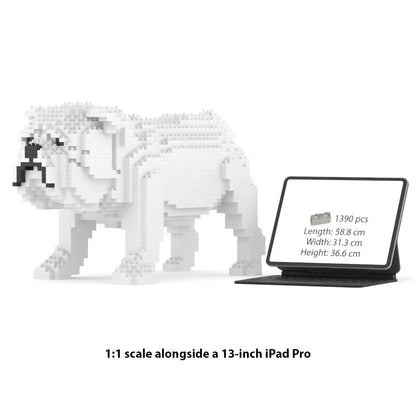 JEKCA English Bulldog 1:1 scale building block sculpture standing next to a 13-inch iPad Pro for size reference.