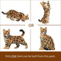 Bengal Cats Sculptures