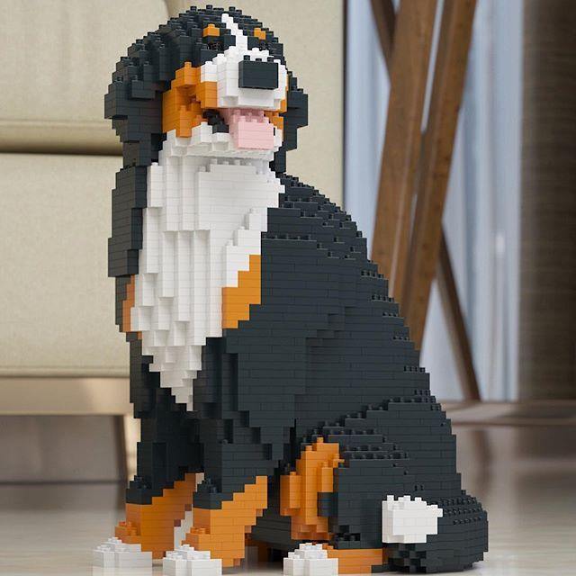 Bernese Mountain Dog Sculptures - LAminifigs , lego style jekca building set