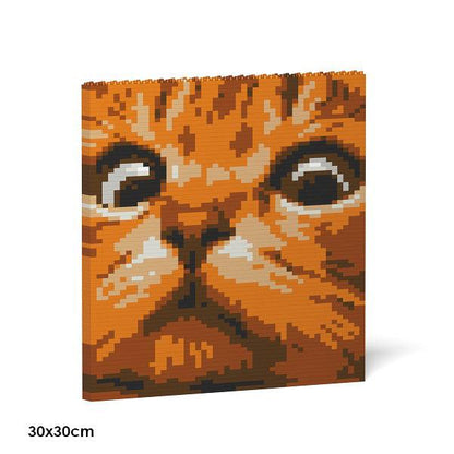 Cat Eyes Brick Paintings - LAminifigs , lego style jekca building set