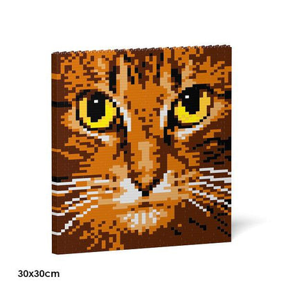 Cat Eyes Brick Paintings - LAminifigs , lego style jekca building set