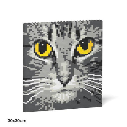 Cat Eyes Brick Paintings - LAminifigs , lego style jekca building set