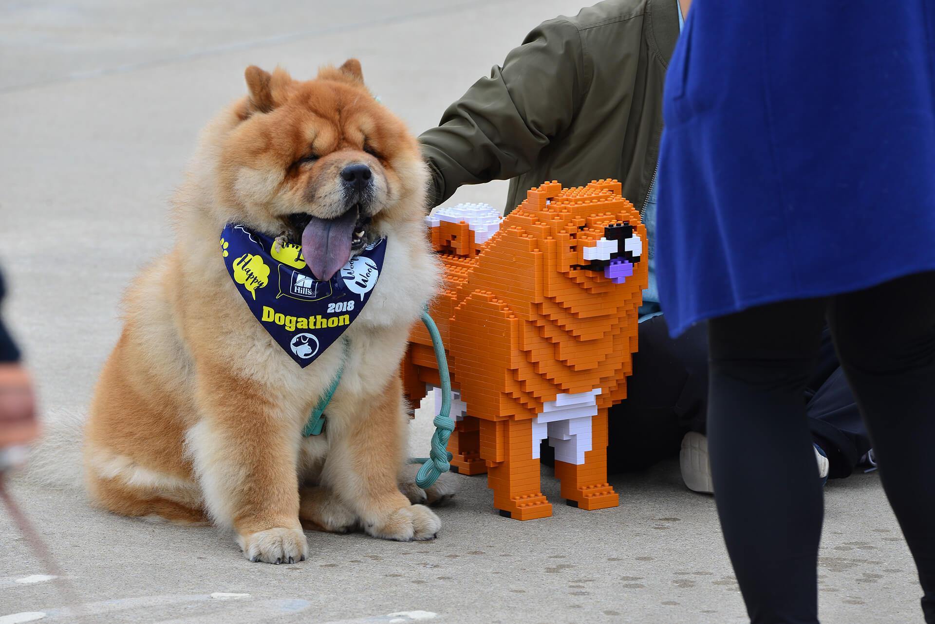 Chow Chow Dog Sculptures - LAminifigs , lego style jekca building set