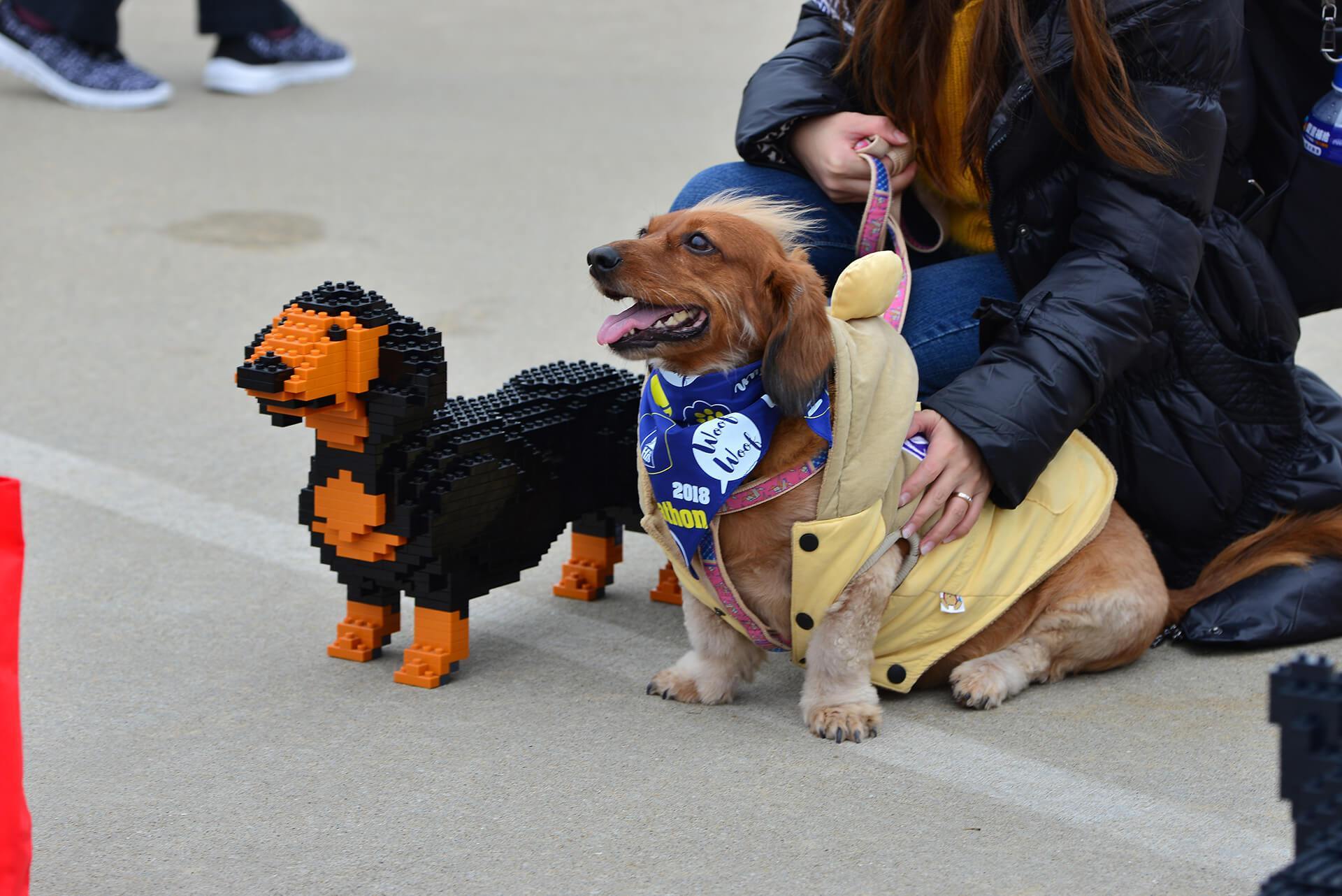 Dachshund Dog Sculptures - LAminifigs , lego style jekca building set