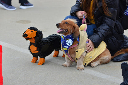 Dachshund Dog Sculptures - LAminifigs , lego style jekca building set