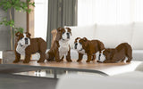 English Bulldog 4-in-1 Pack Big Dog Sculptures - LAminifigs , lego style jekca building set