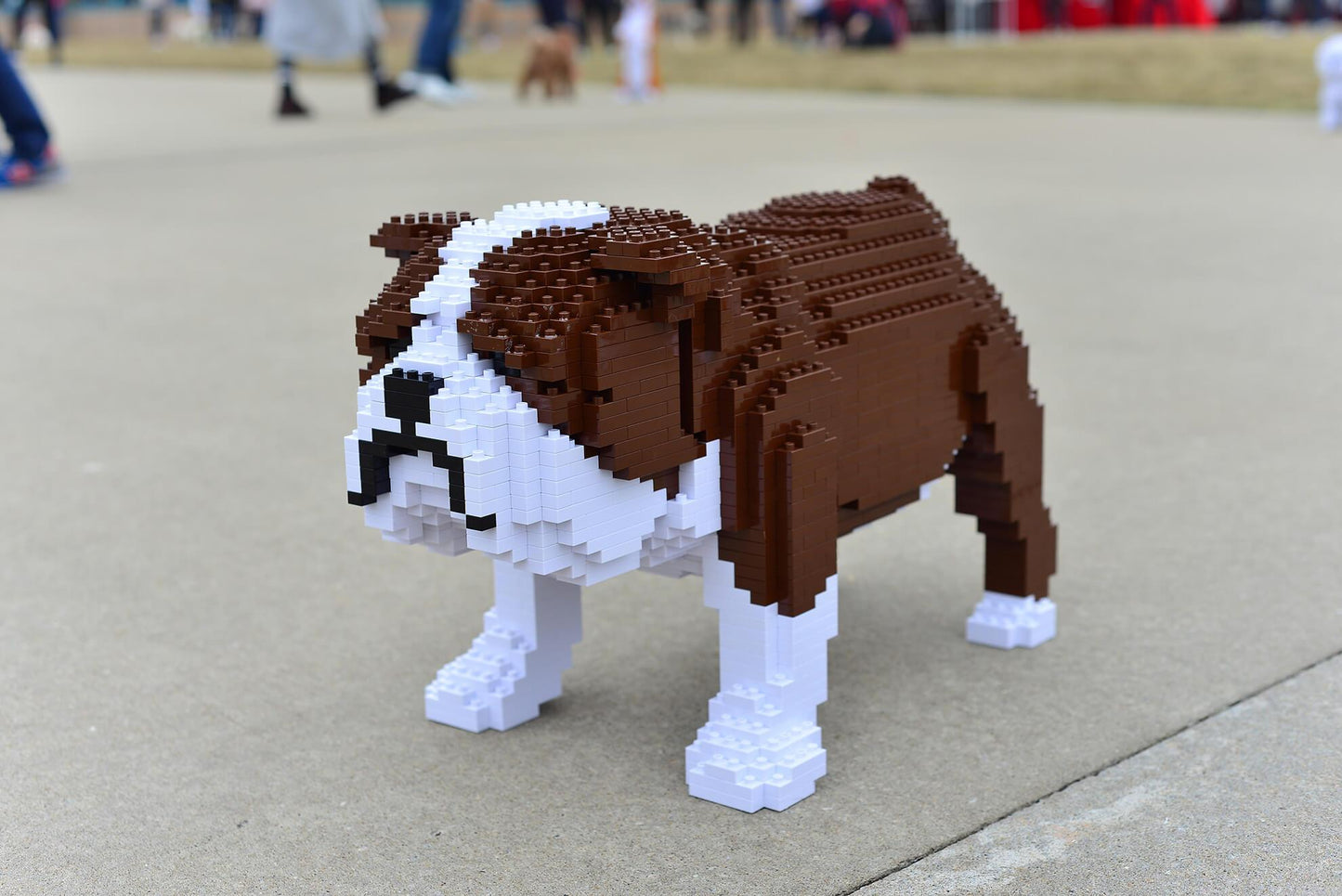 English Bulldog Dog Sculptures - LAminifigs , lego style jekca building set