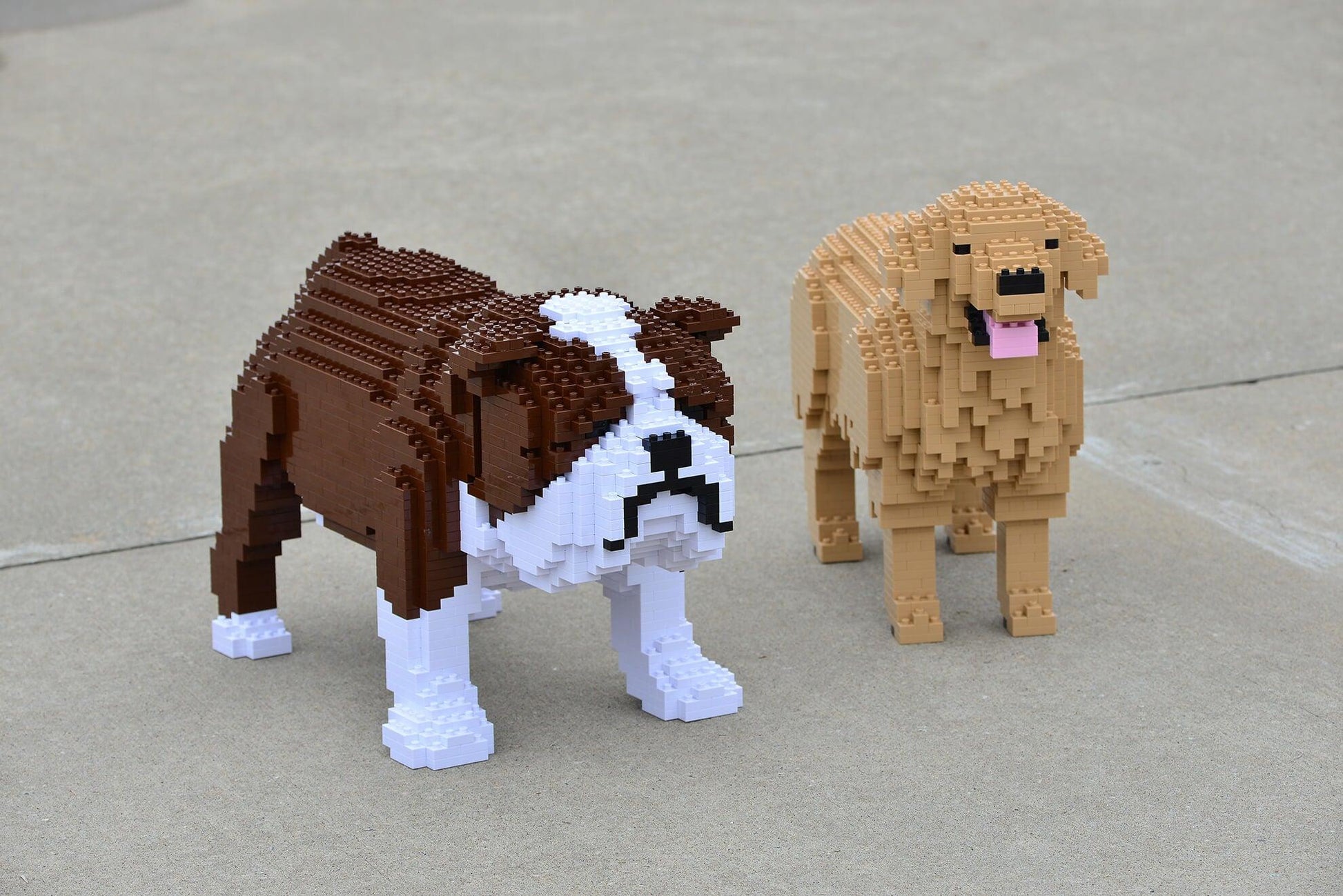 English Bulldog Dog Sculptures - LAminifigs , lego style jekca building set