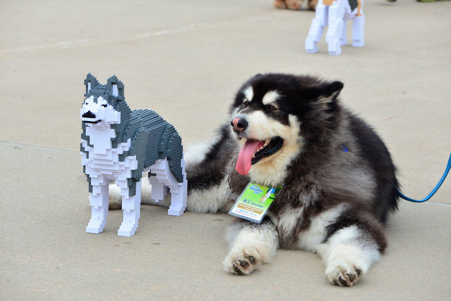 Husky Dog Sculptures - LAminifigs , lego style jekca building set