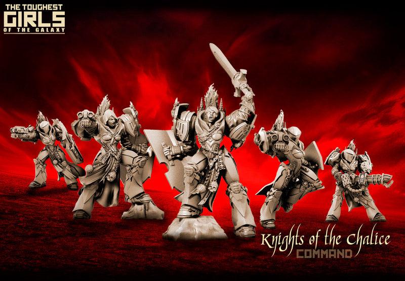 Knights Of The Chalice - Command Group - LAminifigs , lego style jekca building set