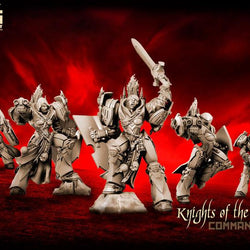 Knights Of The Chalice - Command Group - LAminifigs , lego style jekca building set