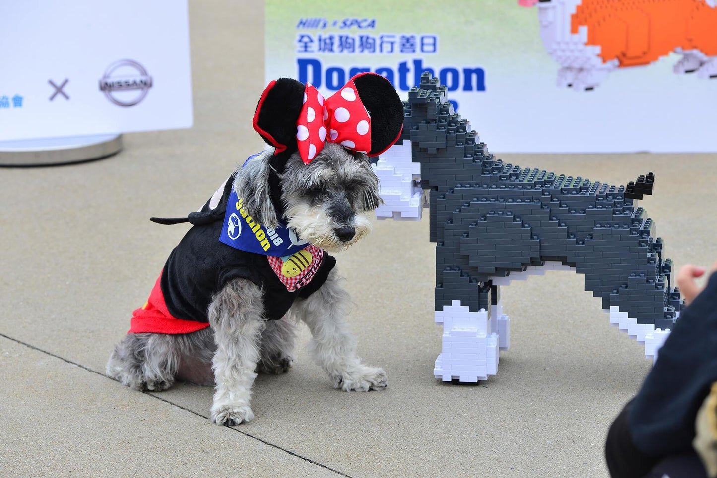 Standard Schnauzer Dog Sculptures - LAminifigs , lego style jekca building set