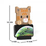 Tabby Cat Phone Stand