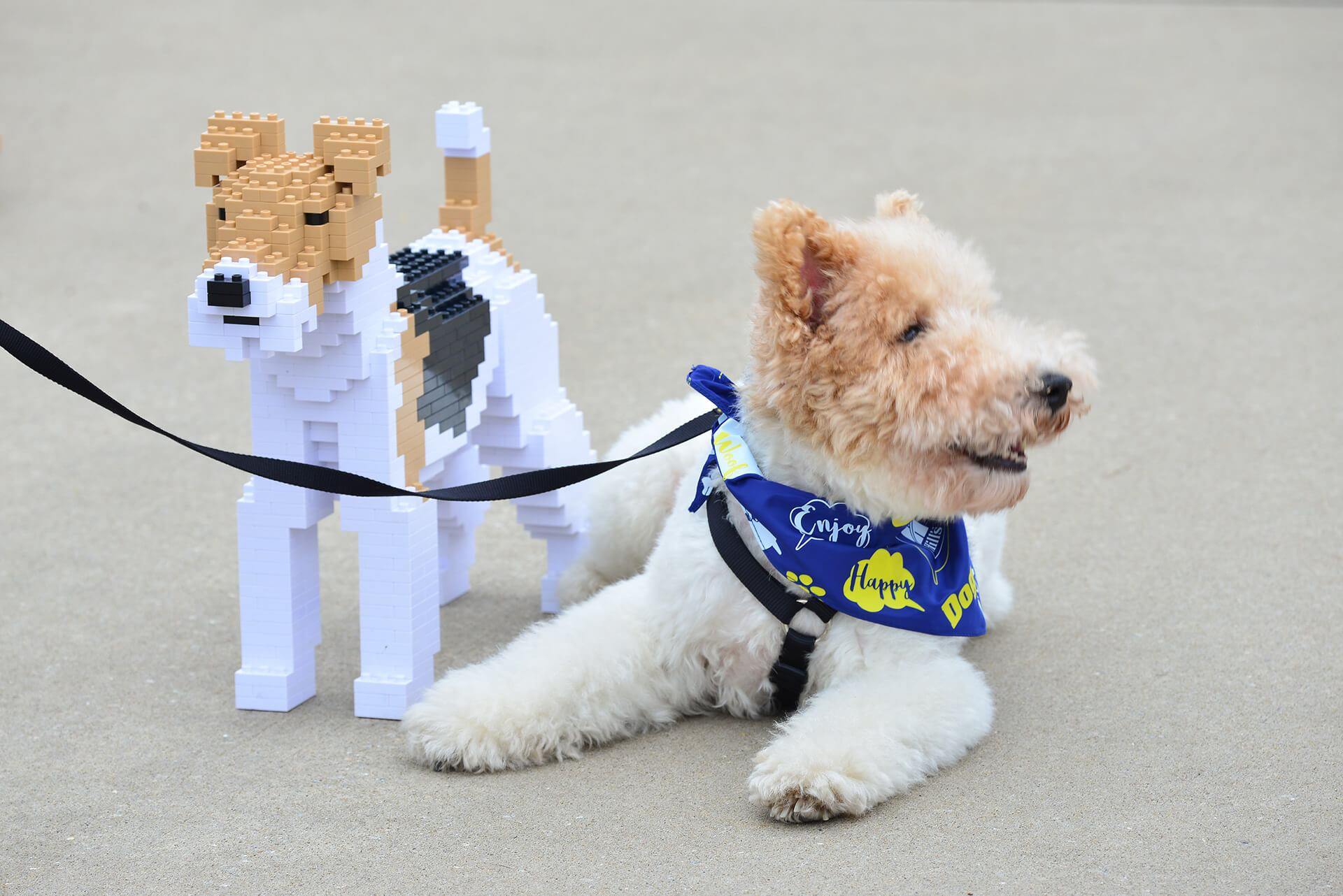 Wire Haired Fox Terrier Dog Sculptures - LAminifigs , lego style jekca building set